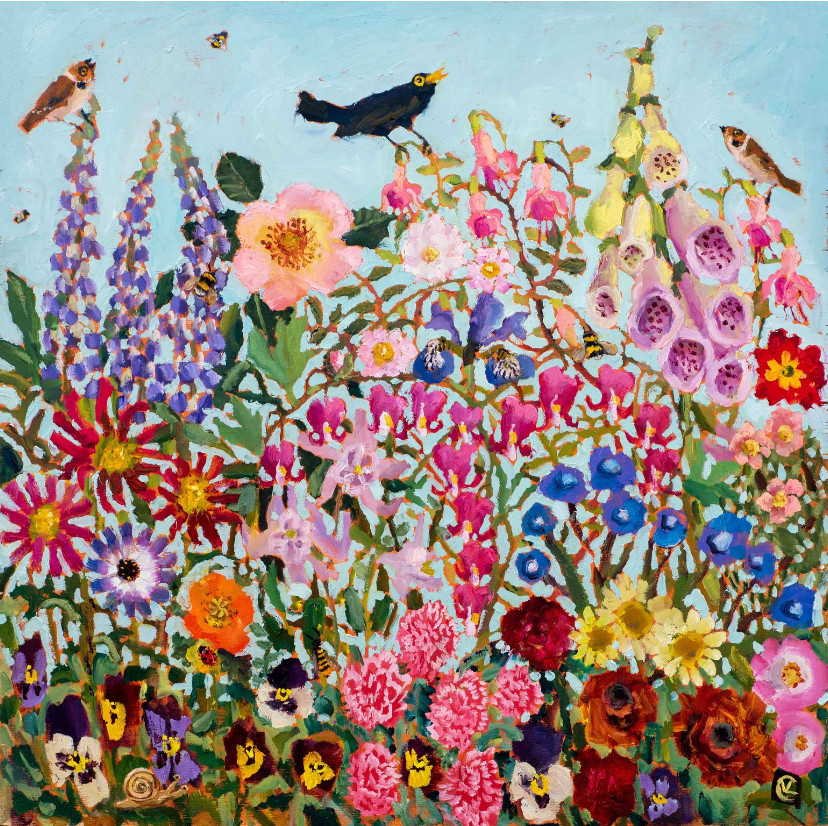 Colourful garden of flowers